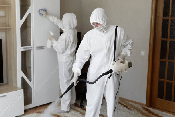 24/7 Emergency Odor Removal experts in Quincy, MI